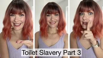 Toilet Slavery Part 3 - May 24, 2024