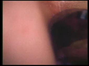 Seka'S Anal Ecstasy Scene 1
