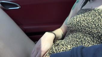 Kitty Cam (Malibu 1/2)
