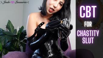 CBT for Chastity Slut
