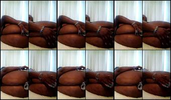 Bear Donk 16 05 2020 327716880 Stream Started At 05 16 2020 09 16 Pm
