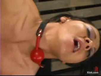 3494_Sandra_Evan