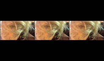 Alphonsolayz - The Blowing Featuring Thick Z Love - Manyvids