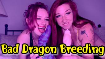 Bad Dragon Double Breeding