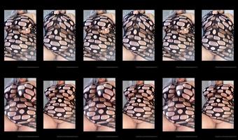 Welovealexstorm 12 04 2020 229897716 My Tummy Needed Some Love If You Like This Video Let Me Know By Liking Commenting