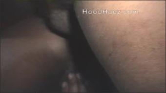 Hoodhoez Tiyfull
