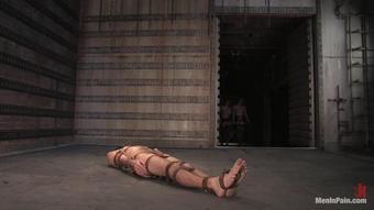 4953_Isis_Lefty_Sandra