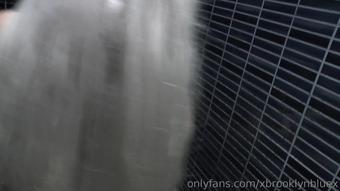 2019 23772873