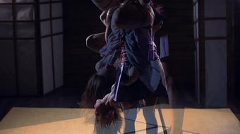 Violet mood FF ropes - April 25, 2017