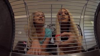 U R Tiny Pet For Britteni & Constance