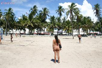 Ww 457 In South Beach