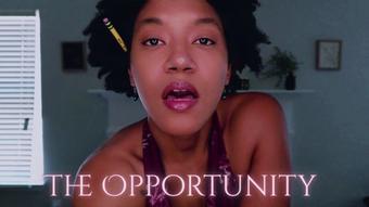 The Opportunity - November 02, 2025