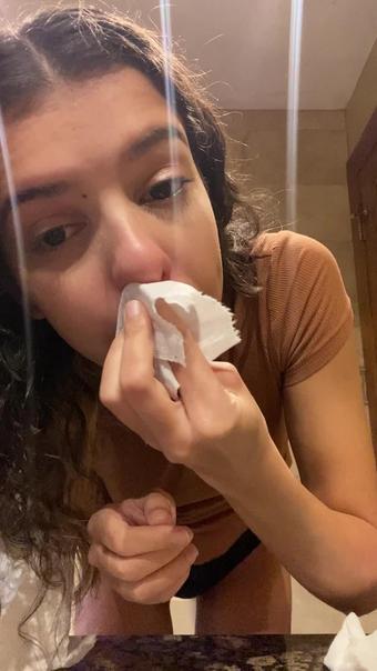 Stuffed Nose Blowing Honks
