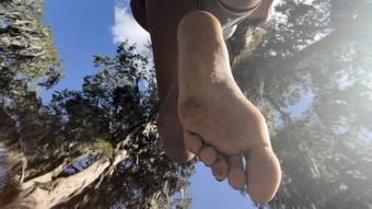 Just An Ant In The Dirt 1080p