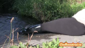 Water Wellies