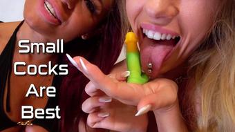 Small Cocks Are Best