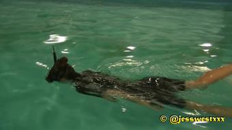 Gone Swimming In My Wetsuit