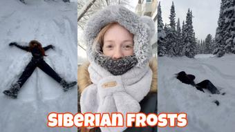 siberian frosts