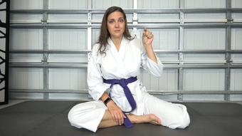 Sadie's Karate SPH