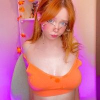 SharKitty
